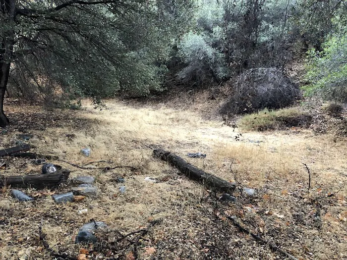 Lion trail camp 0