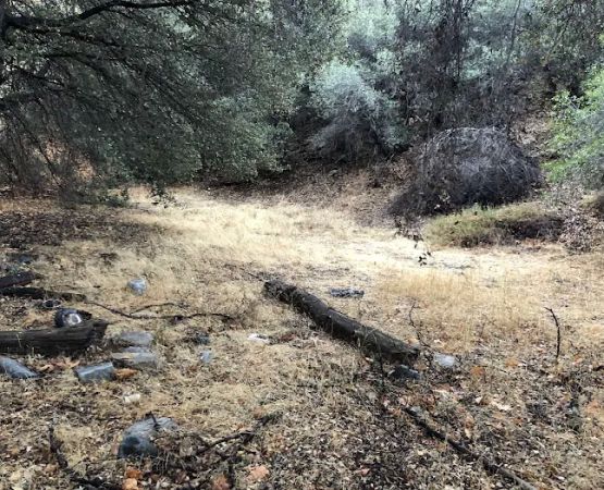 Lion trail camp