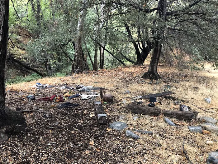 Lion trail camp 1