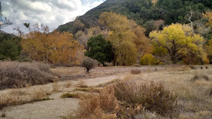 Cienega Campground 1