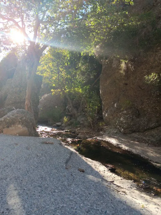 Cienega Campground 3