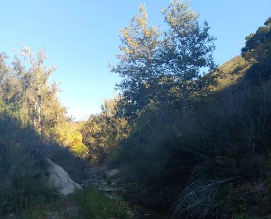 Cienega Campground