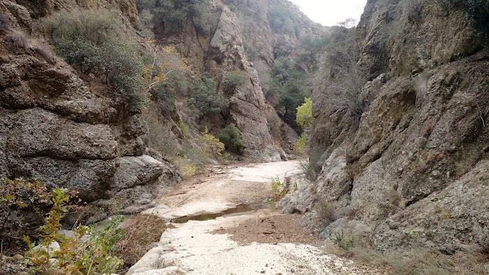 Cienega Campground 4