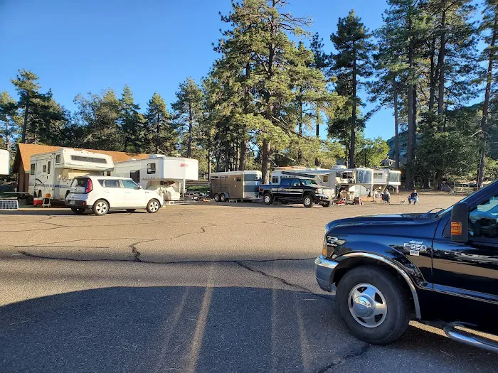 Los Vaqueros Group Horse Camp 5