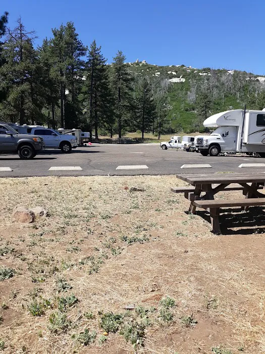 Los Vaqueros Group Horse Camp 7