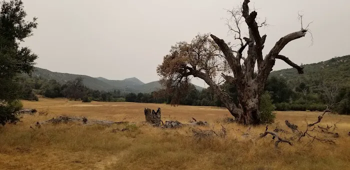 Green Valley Horse Camp 0