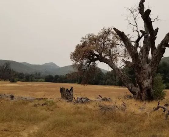 Green Valley Horse Camp