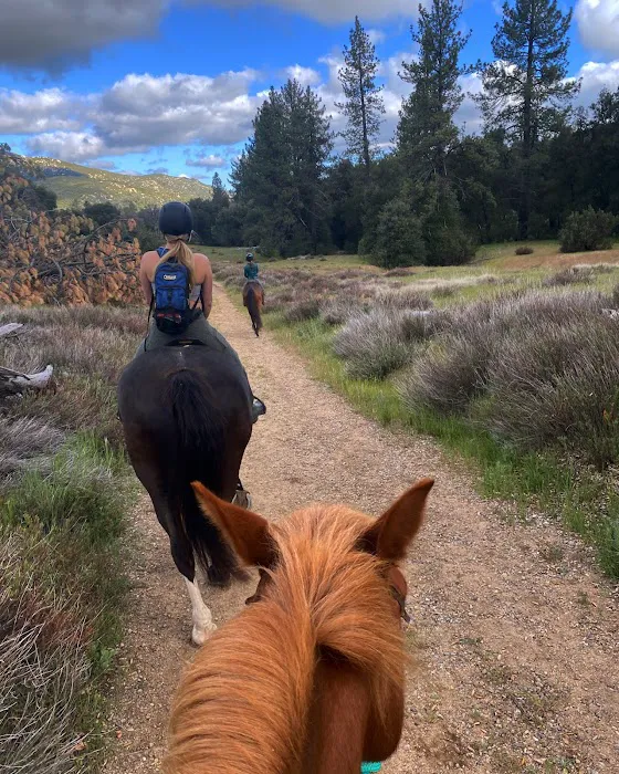 Green Valley Horse Camp 4