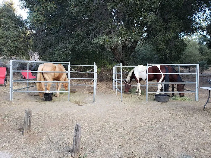 Green Valley Horse Camp 5