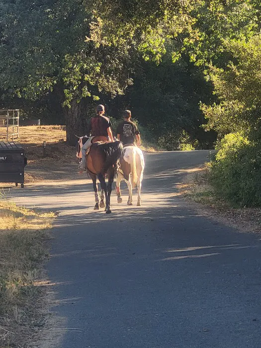 Green Valley Horse Camp 3