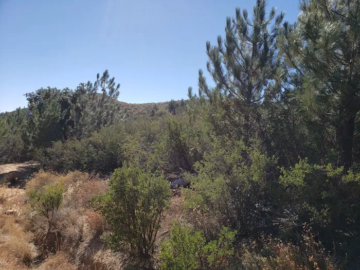 Green Valley Horse Camp 7