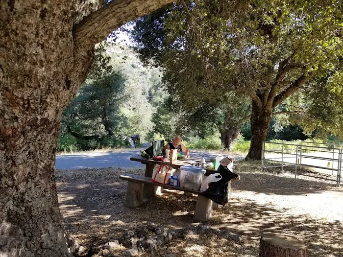 Green Valley Horse Camp 9