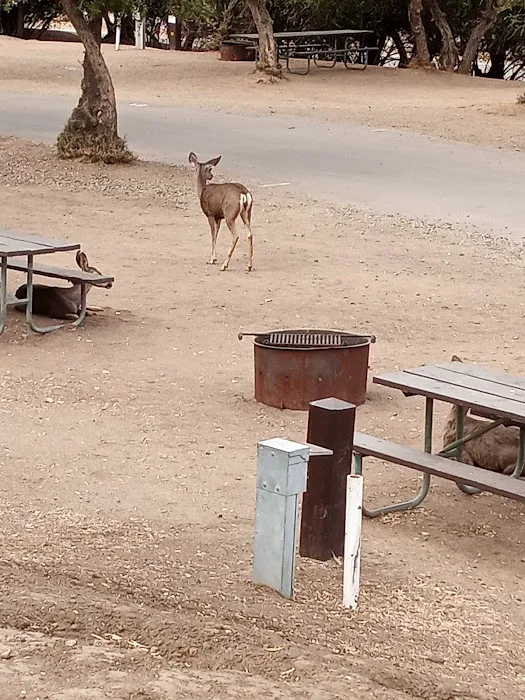 Lake Piru Recreation Area 3