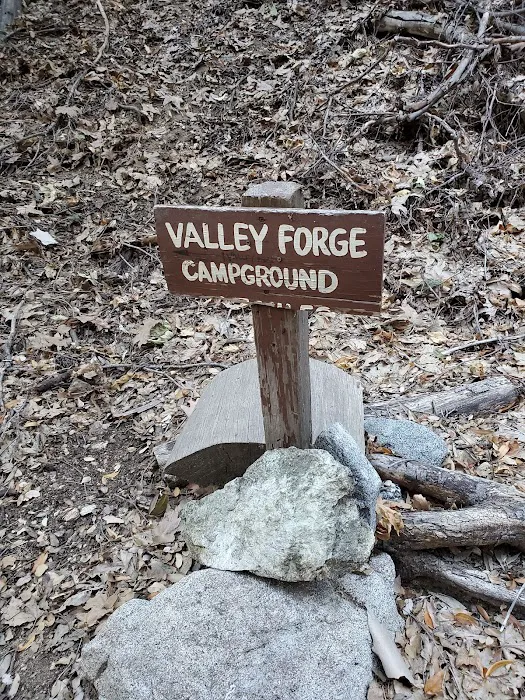 Valley Forge Trail Camp 3