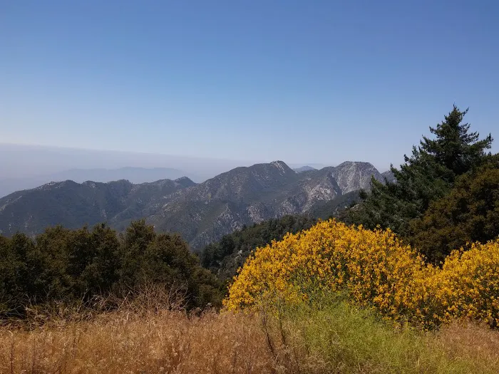Mt. Wilson Skyline Park Picnic Site 5