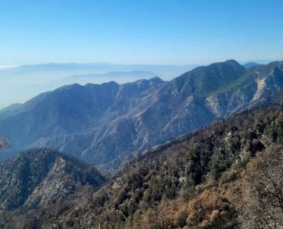 Mt. Wilson Skyline Park Picnic Site