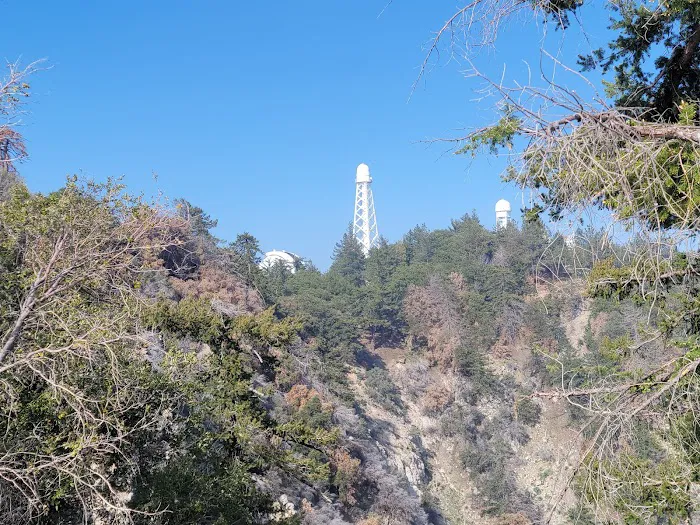 Mt. Wilson Skyline Park Picnic Site 9