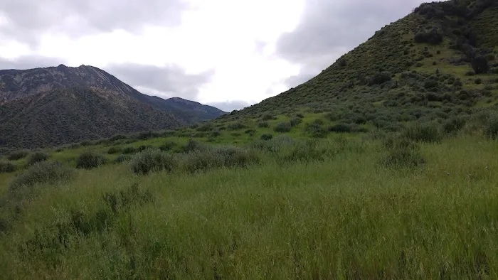 Sespe Camp 0