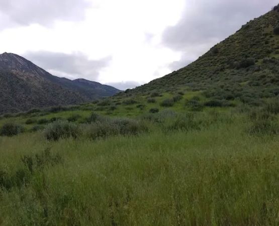 Sespe Camp