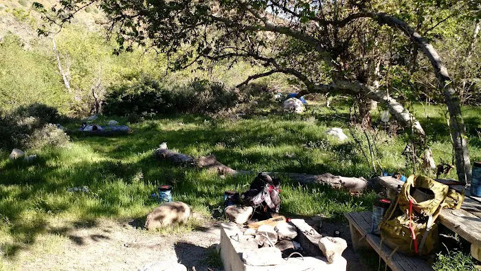 Sespe Camp 2