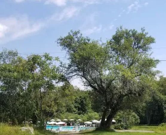 Luxor Manor