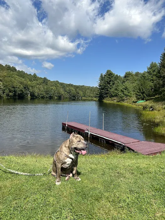 Mountaindale Campground 6