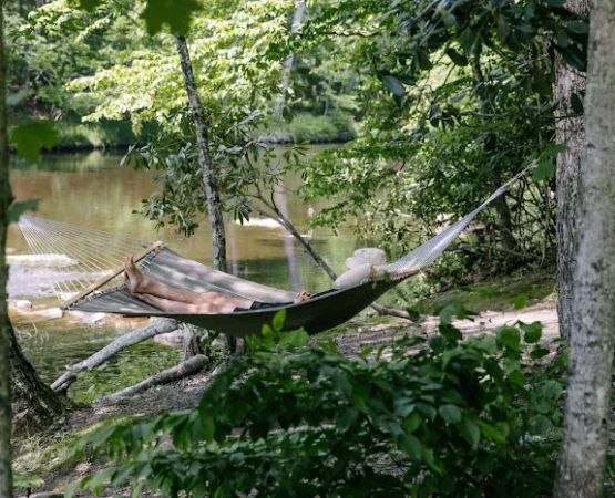 Neversink Sanctuary