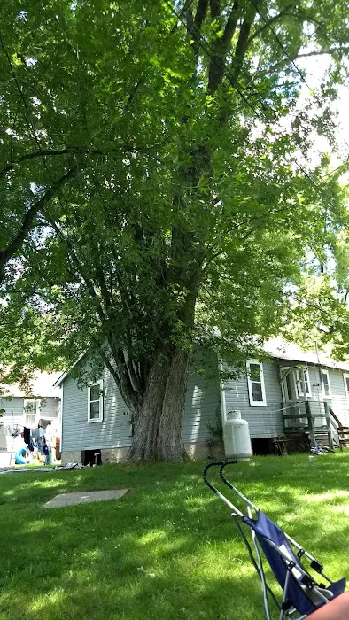 Charlies Lakeside Colony 4