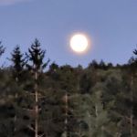 Eretz HaChaim Czernowitz