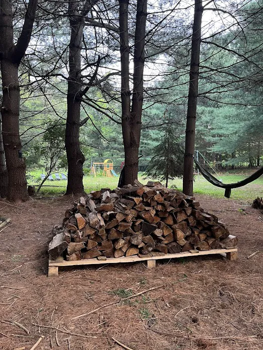 Camp Shabbat Campground 8
