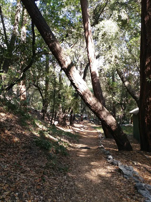 Hoegee Trail Camp 5