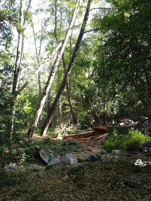 Hoegee Trail Camp 3