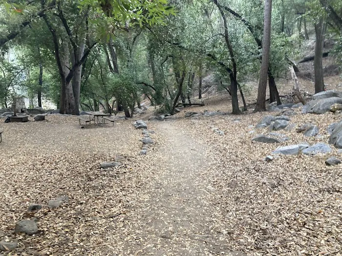 Hoegee Trail Camp 0