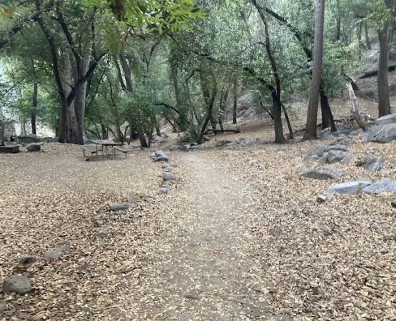 Hoegee Trail Camp