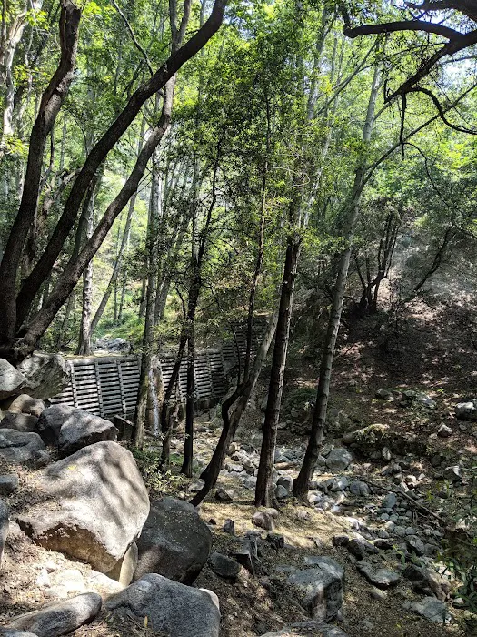 Hoegee Trail Camp 8