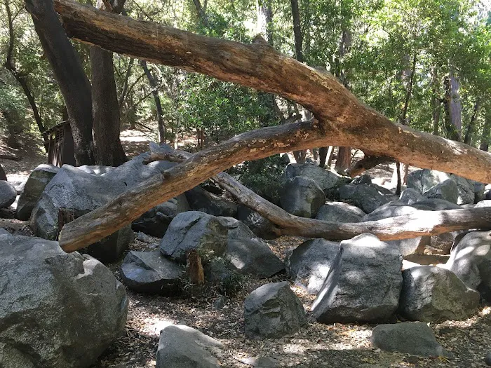 Hoegee Trail Camp 9