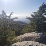 Black Mountain Yellow Post Sites