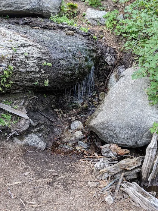 Little Round Valley Campground 3