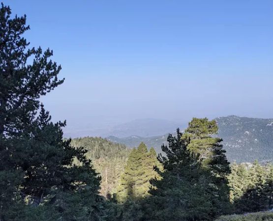 Little Round Valley Campground