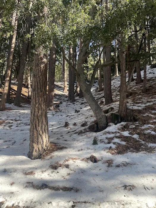 Diamonds Ranch 3