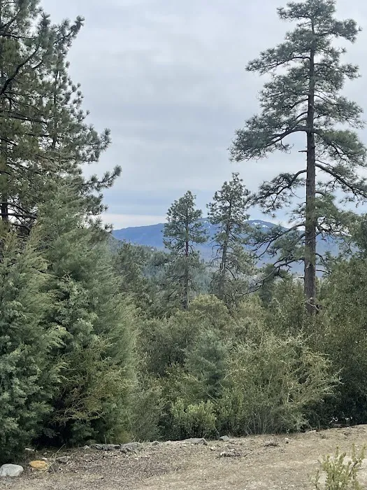 Diamonds Ranch 5