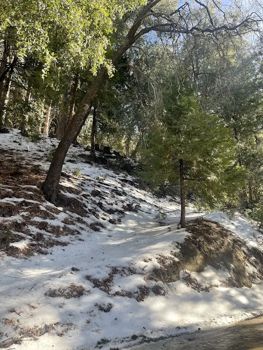 Diamonds Ranch 2