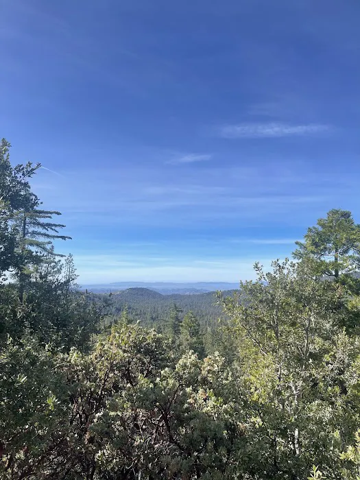 Diamonds Ranch 4