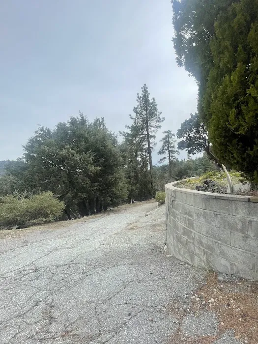 Diamonds Ranch 8