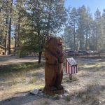 Camp Emerson BSA Reserve