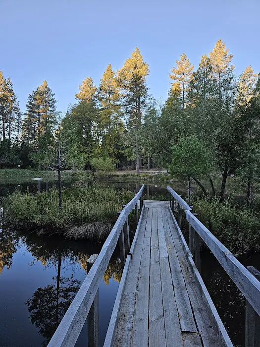 Camp Emerson BSA Reserve 4