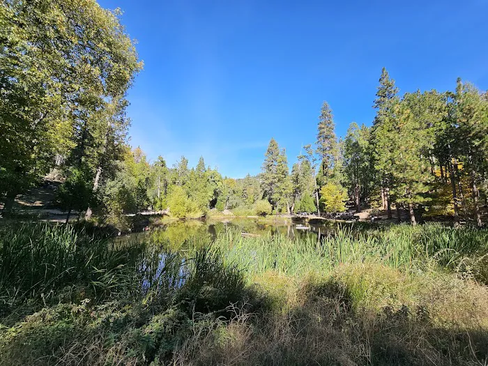 Camp Emerson BSA Reserve 5