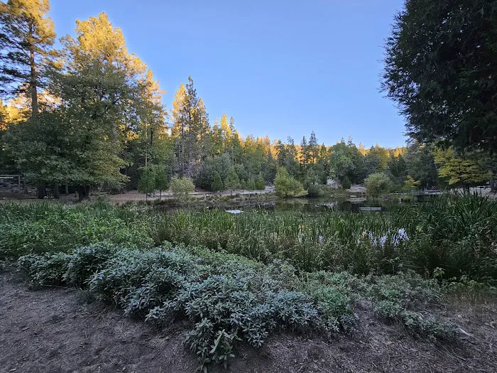 Camp Emerson BSA Reserve 6