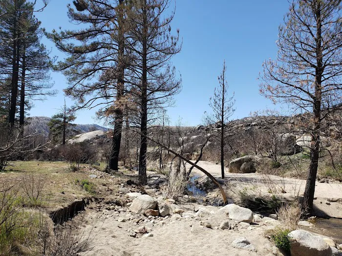 Apple Canyon Yellow Post Camp Site #3 1