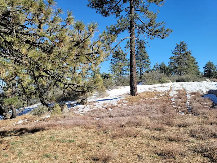 Thomas Mountain Campground 4